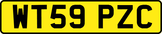 WT59PZC