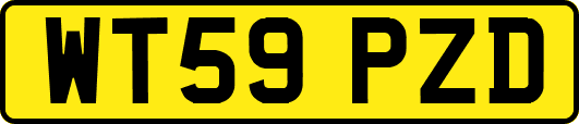 WT59PZD