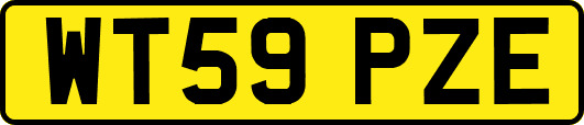 WT59PZE