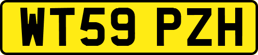 WT59PZH