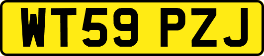 WT59PZJ
