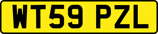 WT59PZL