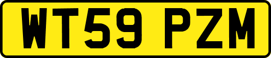 WT59PZM