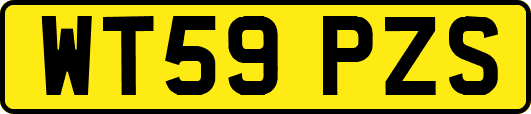 WT59PZS