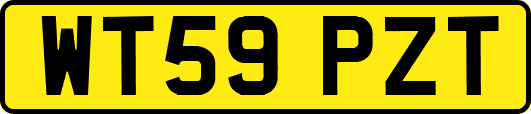 WT59PZT