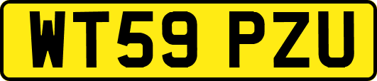 WT59PZU