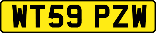 WT59PZW