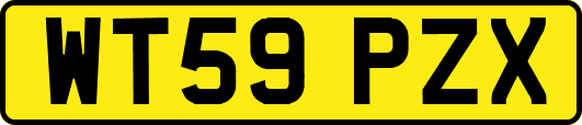 WT59PZX