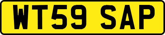 WT59SAP