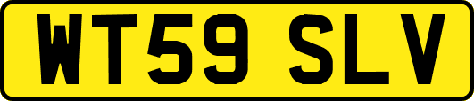 WT59SLV