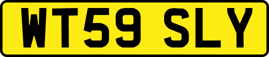 WT59SLY