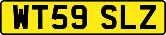 WT59SLZ