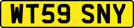 WT59SNY