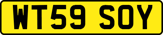WT59SOY