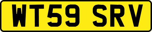 WT59SRV