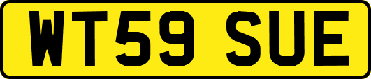 WT59SUE