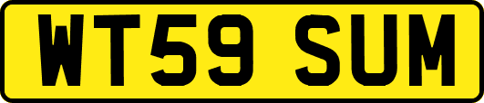 WT59SUM
