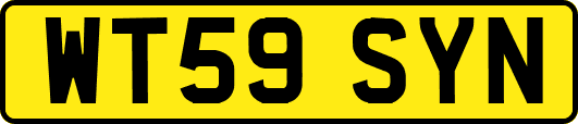 WT59SYN