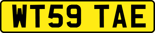 WT59TAE
