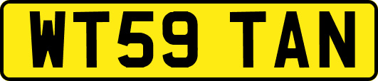 WT59TAN