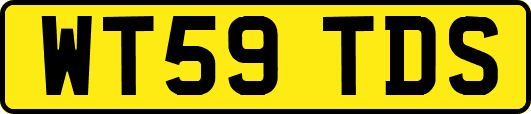 WT59TDS
