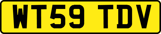 WT59TDV