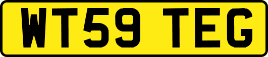 WT59TEG