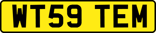 WT59TEM