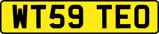 WT59TEO