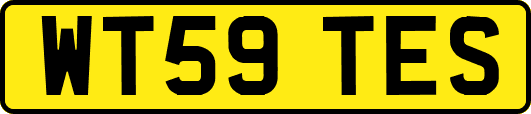 WT59TES