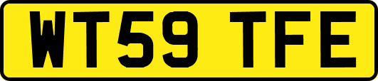 WT59TFE