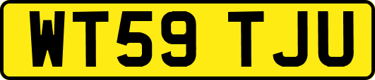 WT59TJU