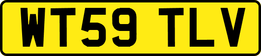 WT59TLV