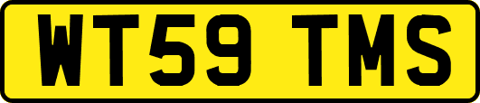 WT59TMS
