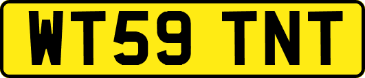 WT59TNT