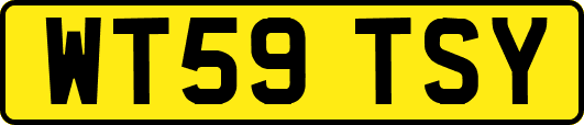 WT59TSY