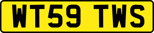 WT59TWS