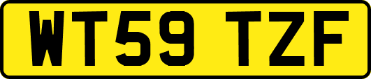 WT59TZF