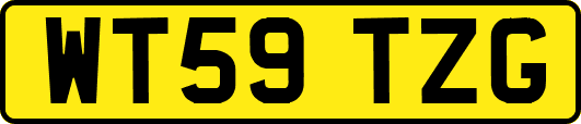 WT59TZG