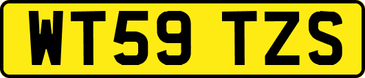WT59TZS