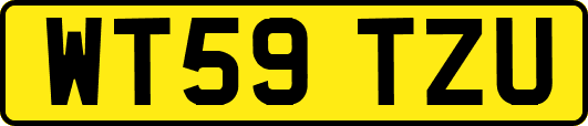 WT59TZU