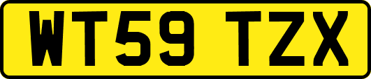 WT59TZX