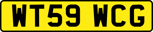 WT59WCG