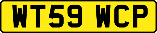 WT59WCP