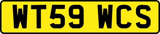 WT59WCS