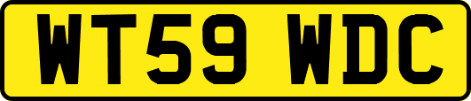 WT59WDC