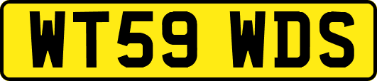 WT59WDS