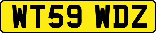 WT59WDZ