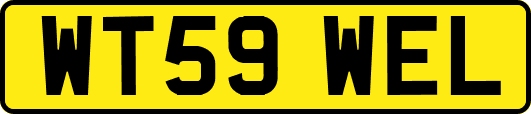 WT59WEL