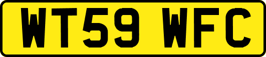 WT59WFC